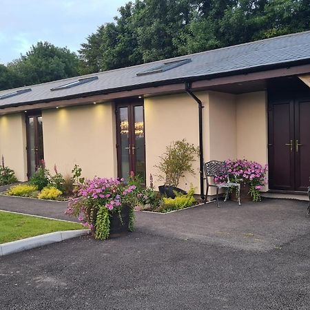 Apartament The Old Mountain Stables Caerllwyn Ganol Farm Newport  Zewnętrze zdjęcie